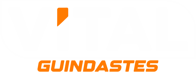 Vital Guindastes